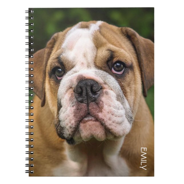Engelsk Bulldog-Personlig - bärbar Hund Anteckningsbok (Framsidan)
