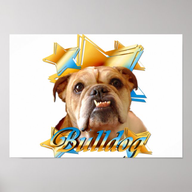 Engelsk bulldog poster (Framsidan)