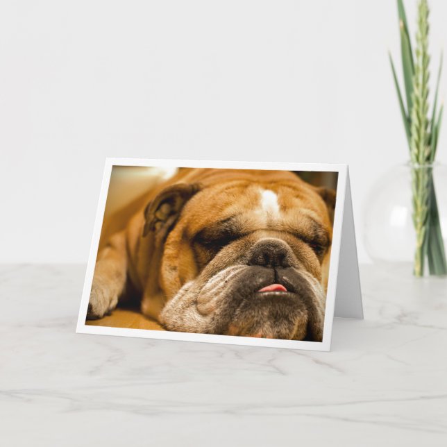 Engelsk bulldog Puppy-Hund Tänkning av ditt kort (Framsida)