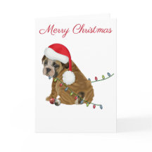 Engelsk bulldog Puppy-jul