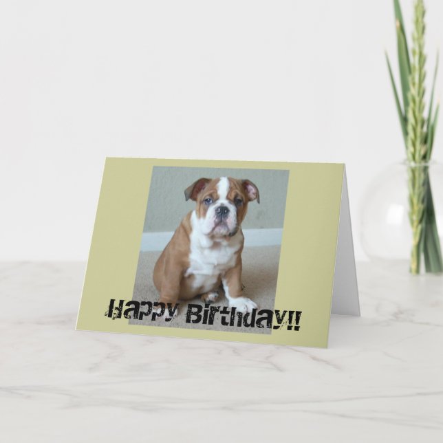 Engelsk bulldog Puppy Kort (Framsida)