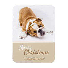 Engelsk bulldog Puppy Photo Anpassningsbar Magnet