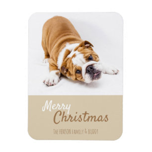 Engelsk bulldog Puppy Photo Anpassningsbar Magnet