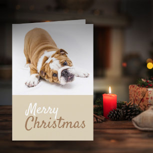 Engelsk Bulldog-valp Foto Jul Anpassad Helgkort