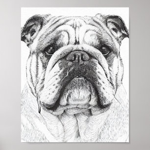 Engelsk Bulldog Vild Nature Animal Illustration Poster