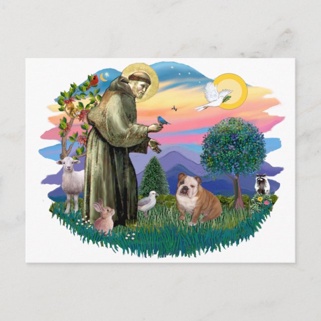 Engelsk bulldog (vit-brun) vykort (Framsida)