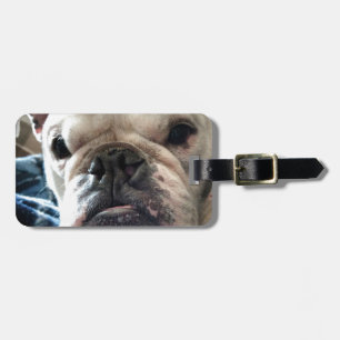 Engelsk bulldogg bagagebricka