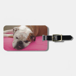Engelsk bulldogg bagagebricka