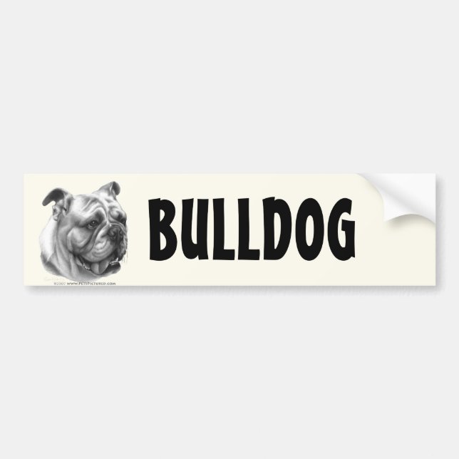 Engelsk bulldogg bildekal (Framsidan)