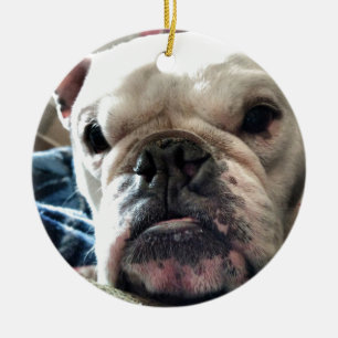 Engelsk bulldogg julgransprydnad keramik
