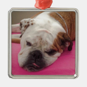 Engelsk bulldogg julgransprydnad metall