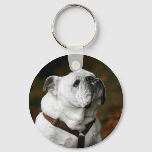 Engelsk bulldogg Keychain Nyckelring