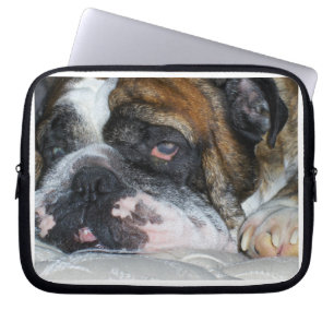 Engelsk bulldogg laptop fodral