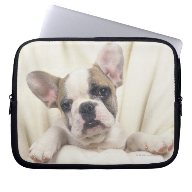 Engelsk bulldogg laptop fodral (Framsidan)