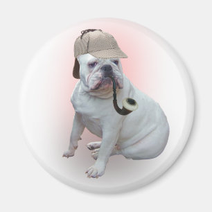 Engelsk bulldogg magnet