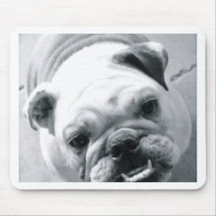Engelsk bulldogg musmatta
