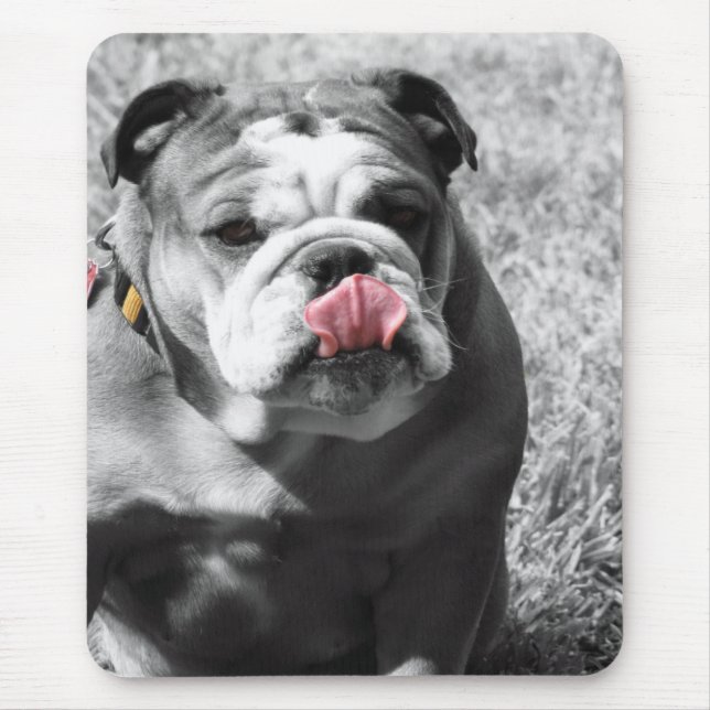 engelsk bulldogg musmatta (Framsidan)