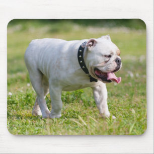 Engelsk bulldogg musmatta