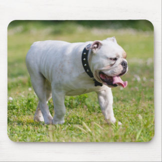 Engelsk bulldogg musmatta