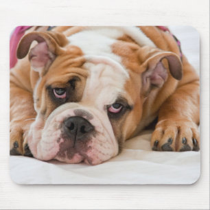 Engelsk bulldogg musmatta