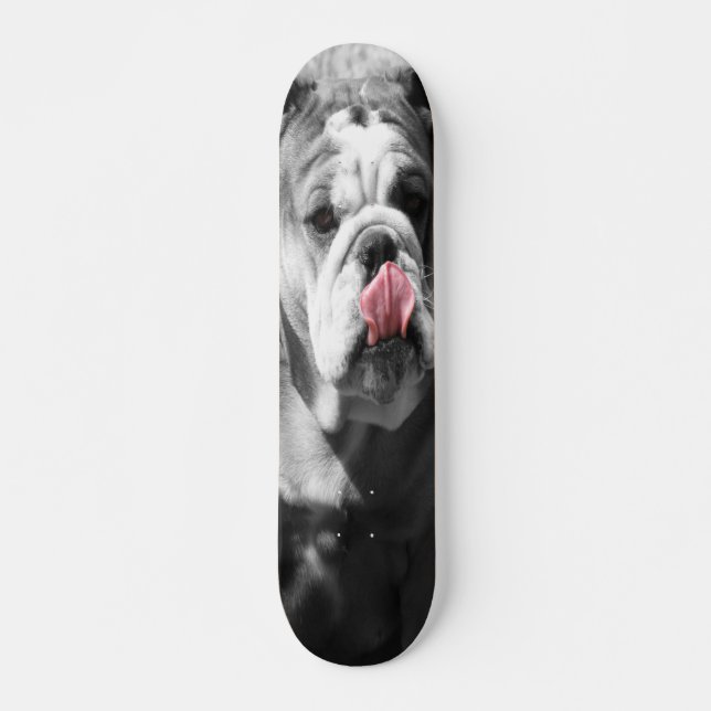 engelsk bulldogg old school skateboard bräda 18 cm (Framsida)