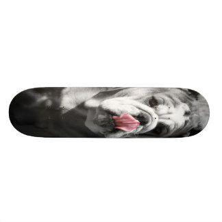 engelsk bulldogg old school skateboard bräda 18 cm