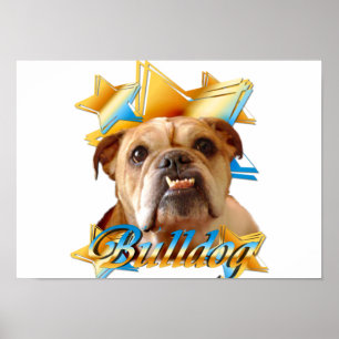 Engelsk bulldogg poster