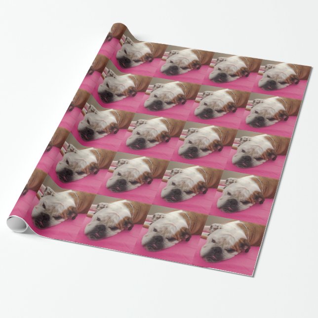 Engelsk bulldogg presentpapper (Utrullad)