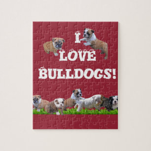 Engelsk bulldogg pussel