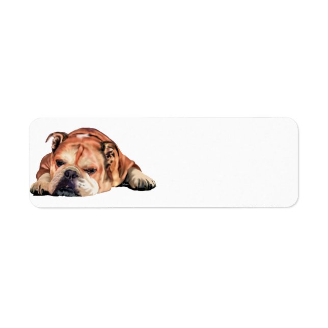 Engelsk bulldogg returadress etikett (Framsidan)