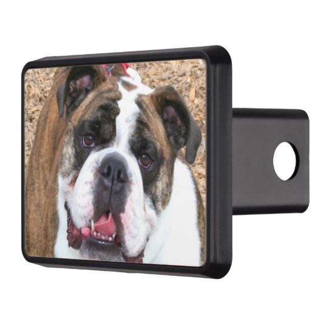 Engelsk bulldogg skydd för dragkrok (Vänster)