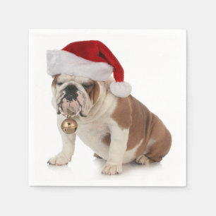 Engelsk bulldogg som ha på sig den Santa hatten Pappersservett