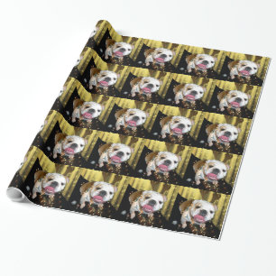 Engelsk bulldogg som slår in papper presentpapper