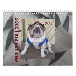 Engelsk bulldogg- & valpkalender! kalender