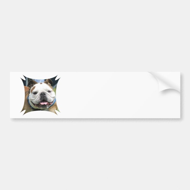 Engelsk bulldoggbildekal bildekal (Framsidan)