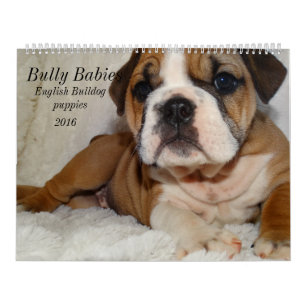 Engelsk bulldoggkalender 2016 kalender