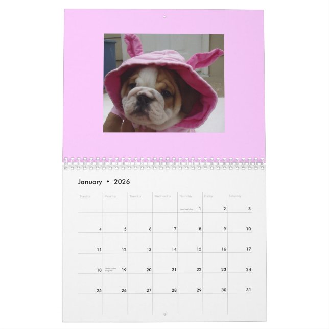 Engelsk bulldoggkalender! kalender (Jan 2026)
