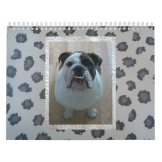 Engelsk bulldoggkalender! kalender