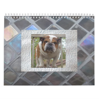 Engelsk bulldoggkalender kalender