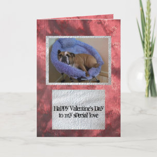 Engelsk bulldoggvalentin kort för dag