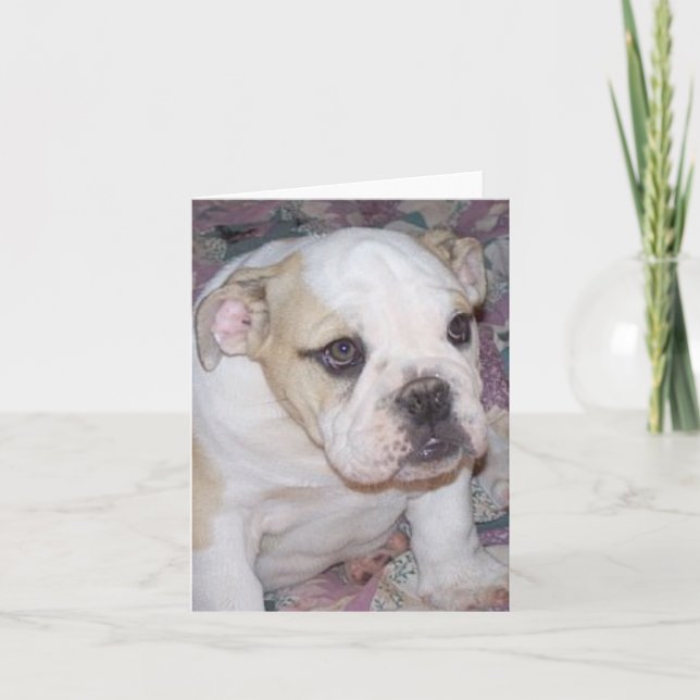 Engelsk bulldoggvalp Notecard Kort (Framsida)