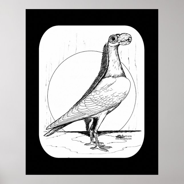 Engelsk Carrier Pigeon1978 Poster (Framsidan)