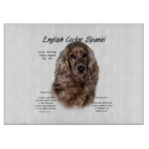 Engelsk Cocker Spaniel (lever) Historik Design