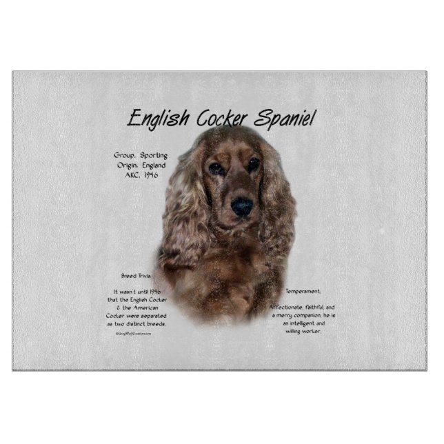 Engelsk Cocker Spaniel (lever) Historik Design (Framsidan)