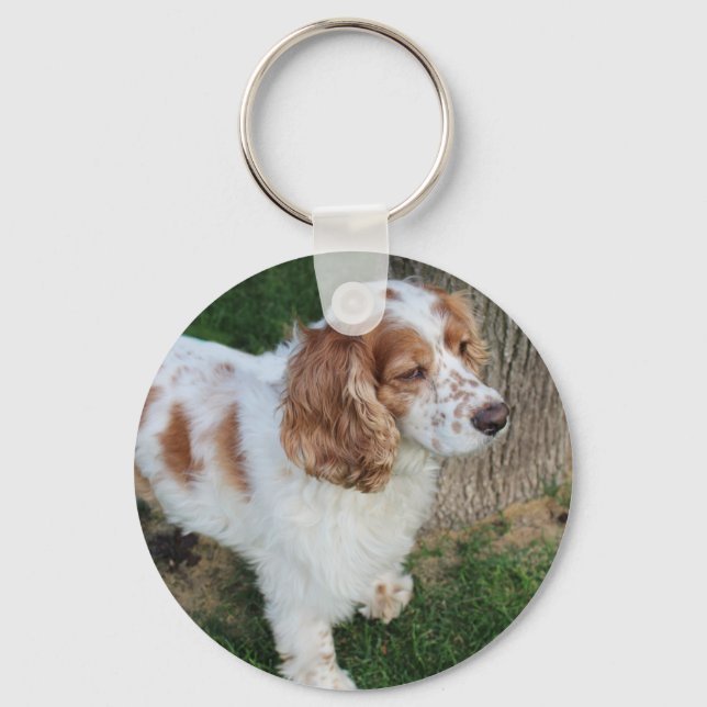 engelsk cocker spaniel orange och vit full nyckelring (Framsida)