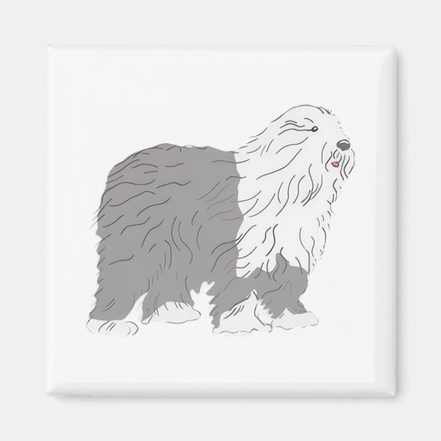 Engelsk Fårhund Magnet (Framsidan)