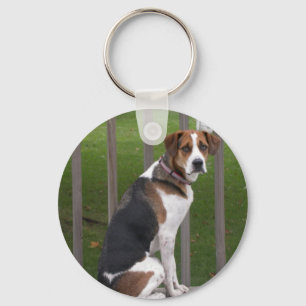 Engelsk Foxhound Keychain Nyckelring