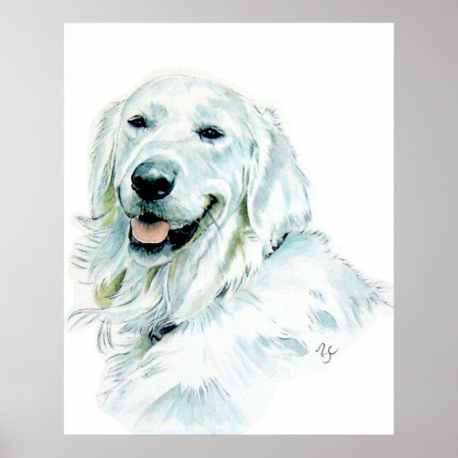 Engelsk Golden Retriever Skriv ut Poster (Framsidan)