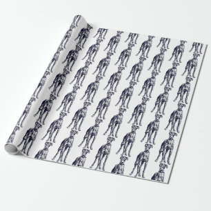 Engelsk Greyhound Breed Presentpapper