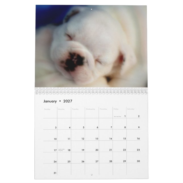 Engelsk kalender för bulldoggvalpar 2013 (Jan 2027)